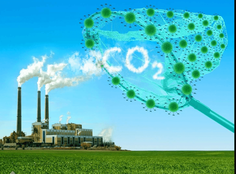 NGHIỆP VỤ BÁO CÁO KIỂM KÊ NHÀ KÍNH 