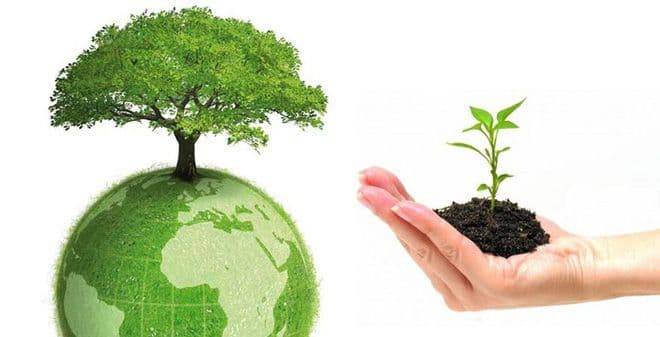 NGHIỆP VỤ TƯ VẤN MÔI TRƯỜNG VÀ QUẢN LÝ XÃ HỘI