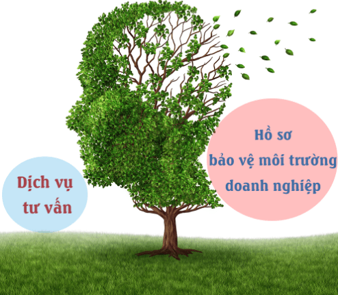 Dịch vụ Tư vấn hồ sơ môi trường 