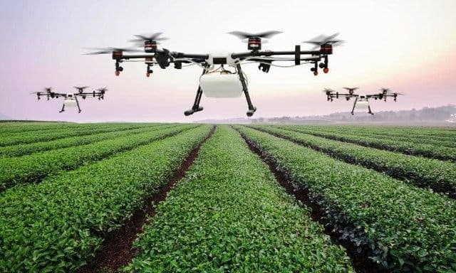 DỰ ÁN: KHÓA TẬP HUẤN “TRÍ TUỆ NHÂN TẠO VÀ ỨNG DỤNG TRONG NÔNG NGHIỆP HIỆN ĐẠI”