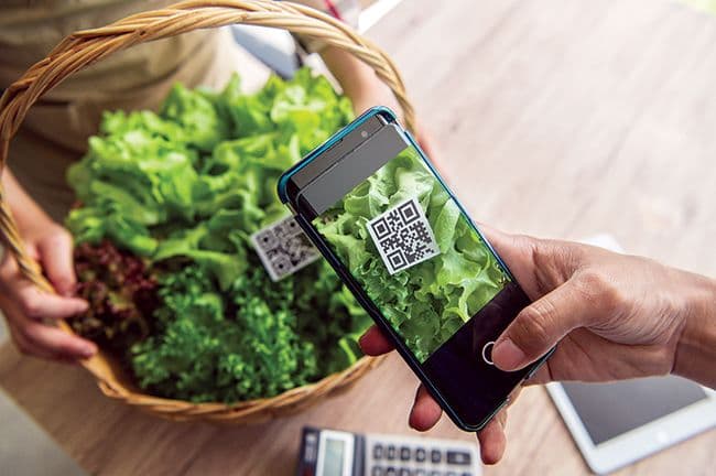 DỰ ÁN: KHÓA TẬP HUẤN “ỨNG DỤNG AI TRONG QUẢN LÝ CHẤT LƯỢNG VÀ TRUY XUẤT NGUỒN GỐC NÔNG SẢN”