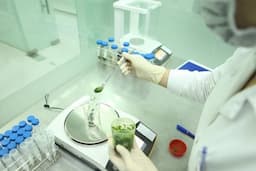 An toàn thực phẩm